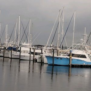 Meet your Posher, Pamela